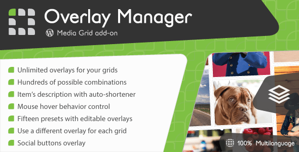 media-grid-overlay media-grid-overlay